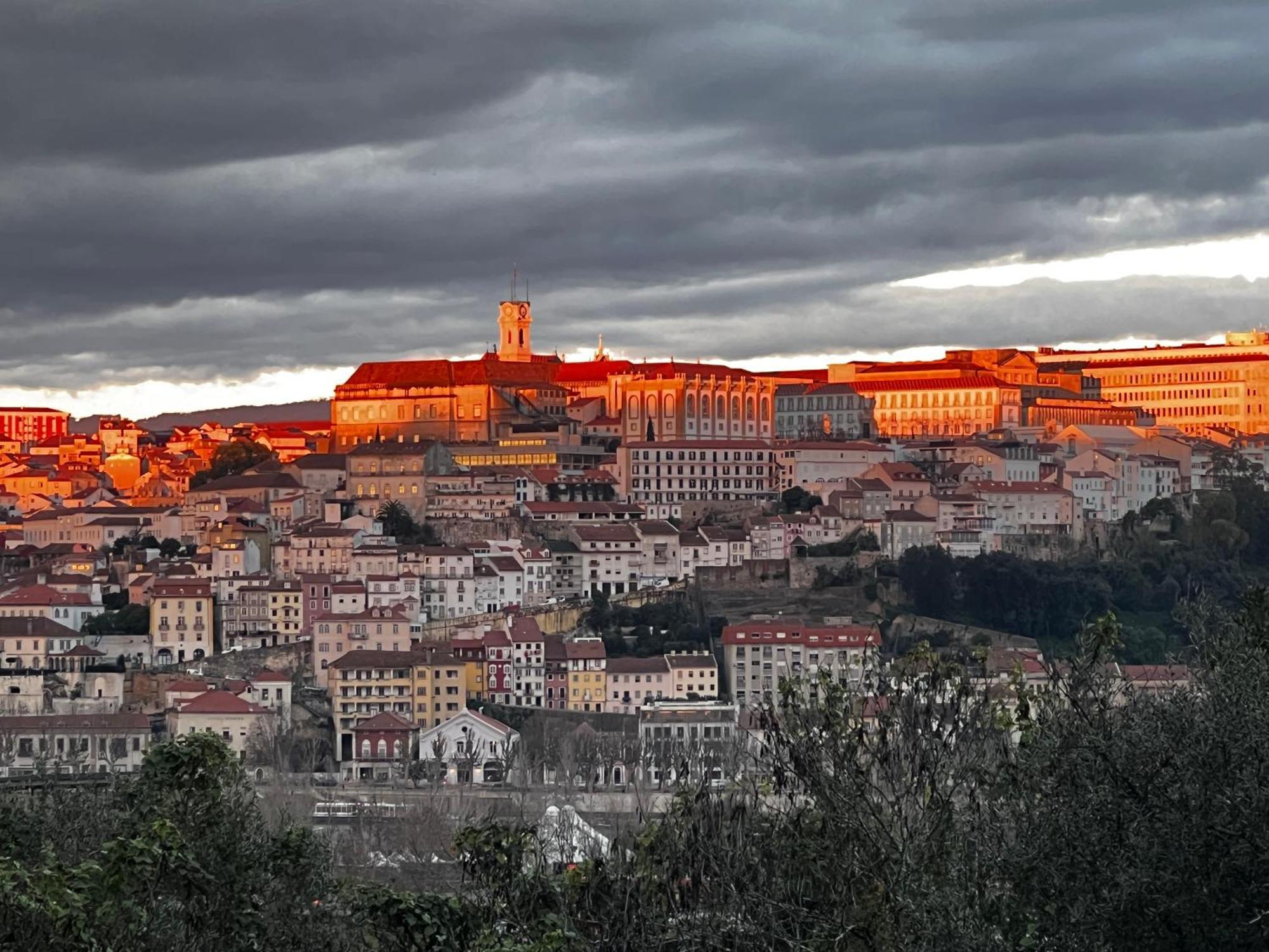 Coimbraameias Kültér fotó